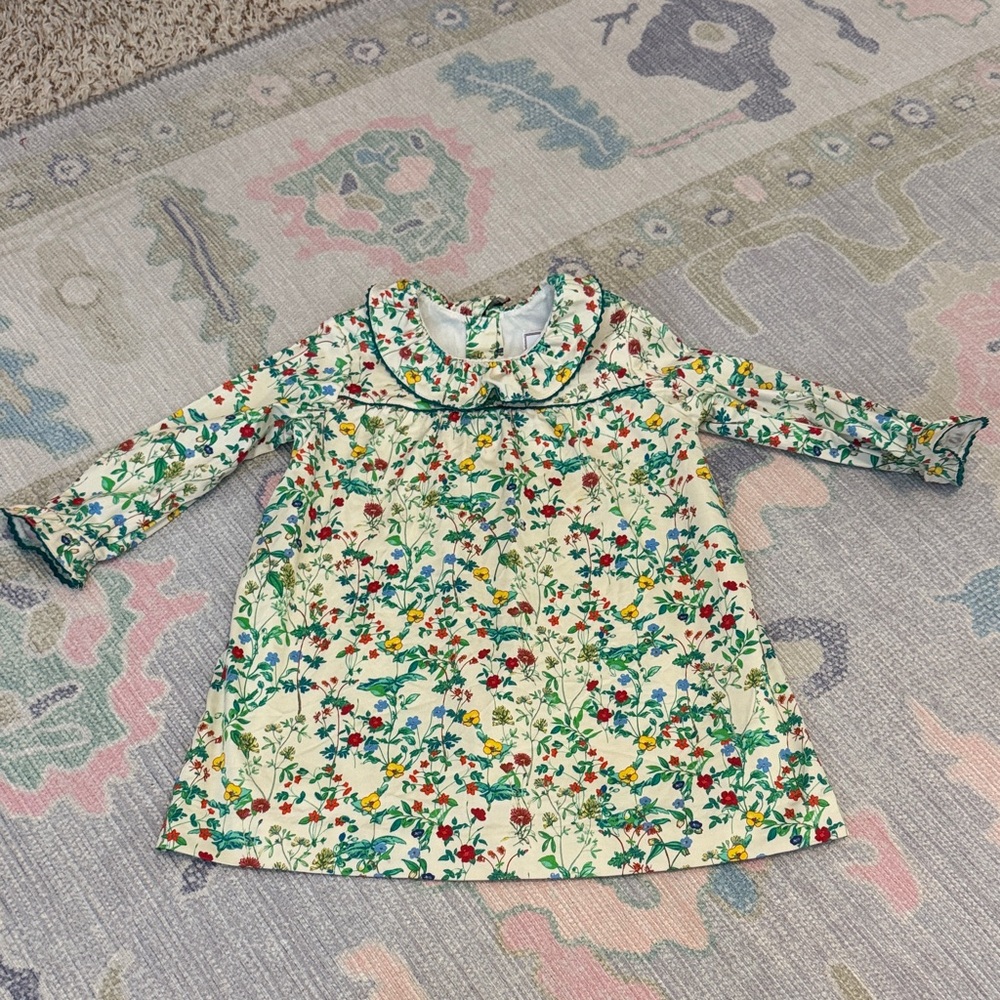 Floral Long Sleeve Dress (18-24m)